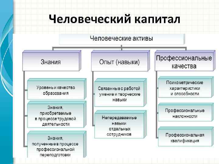 Человеческий капитал презентация