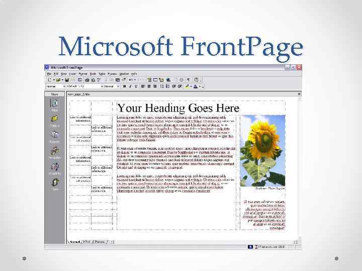 Microsoft Front. Page 