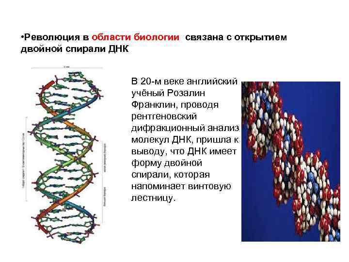 Открытые структуры днк. Схема строения ДНК двойная спираль. Двойная спиральная структура ДНК Франклин. Структура открытия ДНК двойная спираль. Открытие структуры новой спирали ДНК.