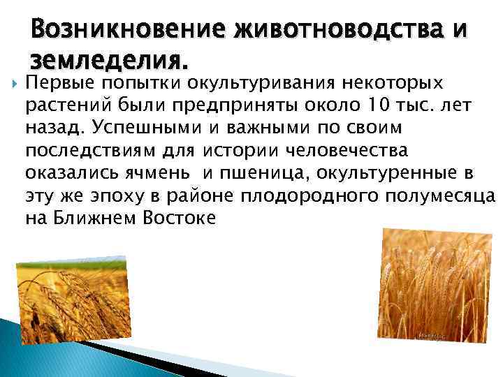  Возникновение животноводства и земледелия. Первые попытки окультуривания некоторых растений были предприняты около 10