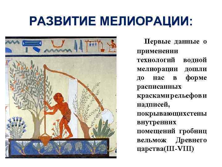 РАЗВИТИЕ МЕЛИОРАЦИИ: Первые данные о применении технологий водной мелиорации дошли до нас в форме