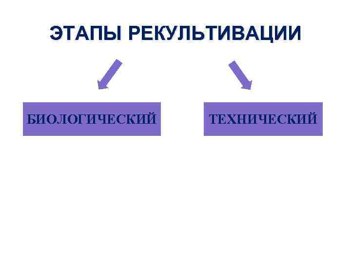 ЭТАПЫ РЕКУЛЬТИВАЦИИ БИОЛОГИЧЕСКИЙ ТЕХНИЧЕСКИЙ 