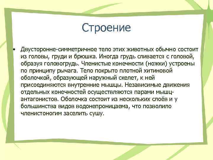 Строение • Двусторонне-симметричное тело этих животных обычно состоит из головы, груди и брюшка. Иногда