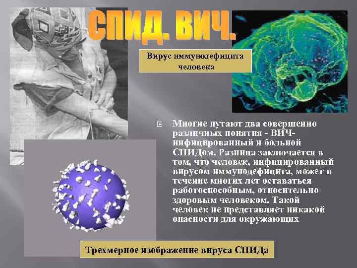 Вирус иммунодефицита человека Многие путают два совершенно различных понятия - ВИЧинфицированный и больной СПИДом.