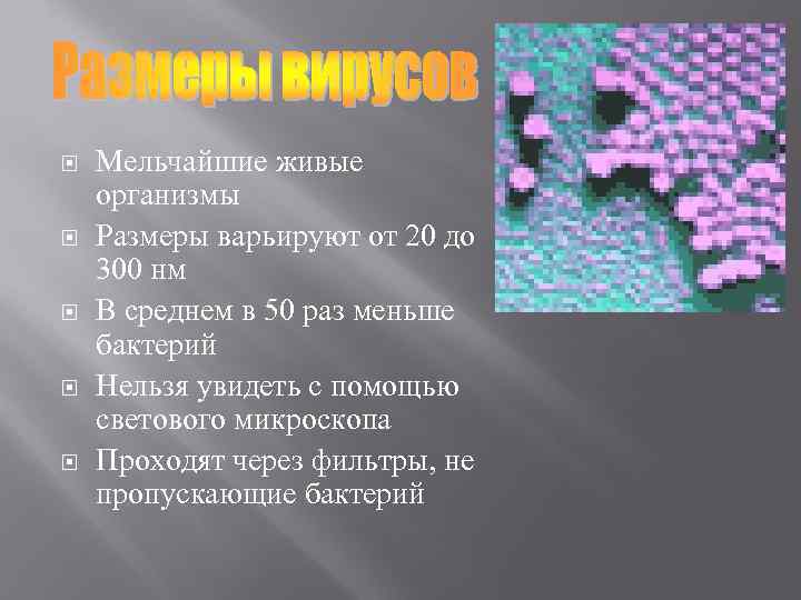  Мельчайшие живые организмы Размеры варьируют от 20 до 300 нм В среднем в