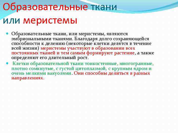 Образовательные ткани или меристемы Образовательные ткани, или меристемы, являются эмбриональными тканями. Благодаря долго сохраняющейся