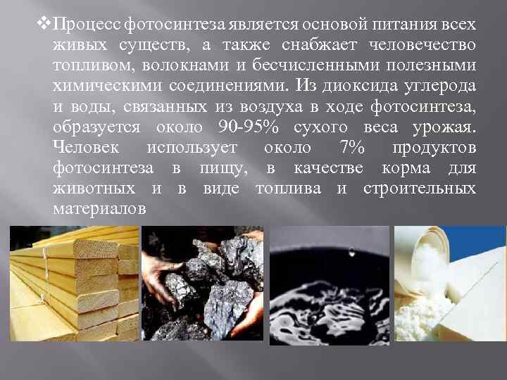 v. Процесс фотосинтеза является основой питания всех живых существ, а также снабжает человечество топливом,