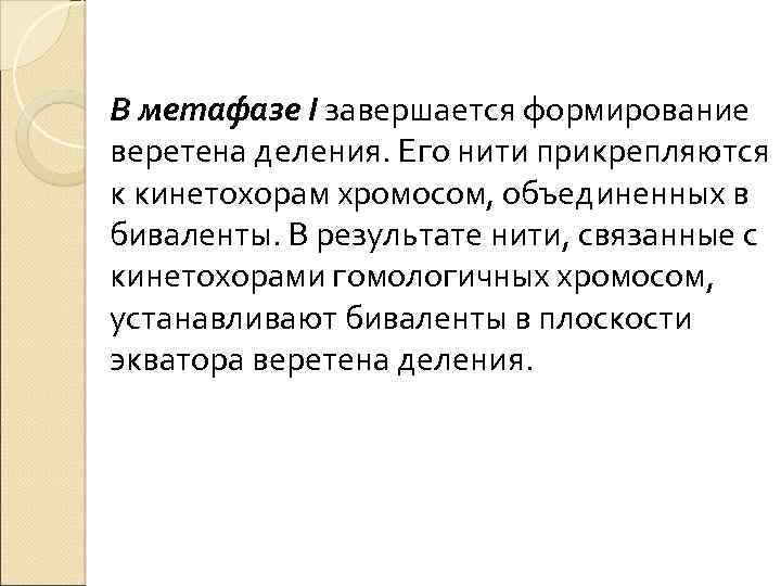 В метафазе I завершается формирование веретена деления. Его нити прикрепляются к кинетохорам хромосом, объединенных