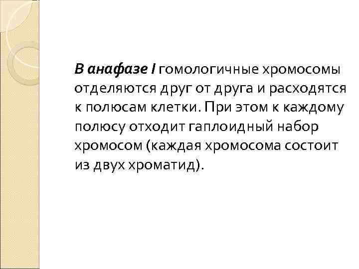 В анафазе I гомологичные хромосомы отделяются друг от друга и расходятся к полюсам клетки.