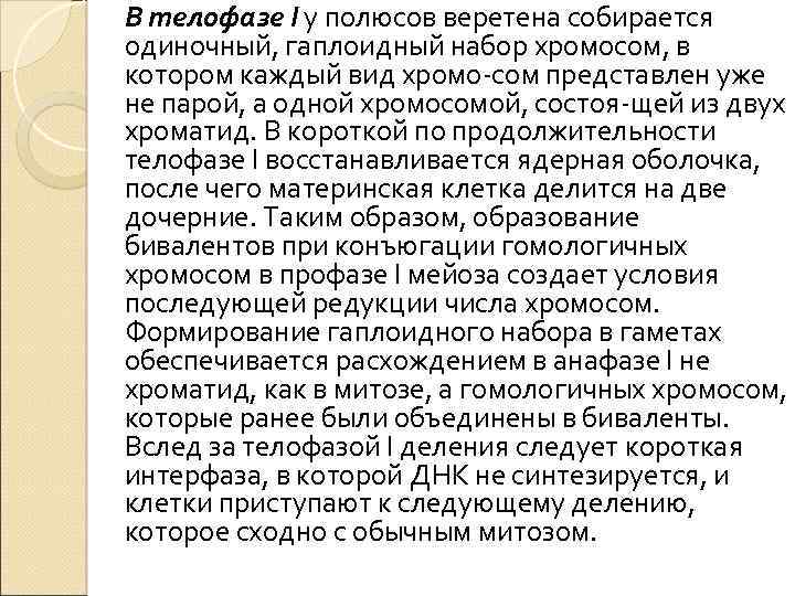 В телофазе I у полюсов веретена собирается одиночный, гаплоидный набор хромосом, в котором каждый