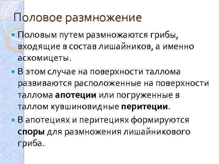 Половое размножение Половым путем размножаются грибы, входящие в состав лишайников, а именно аскомицеты. В