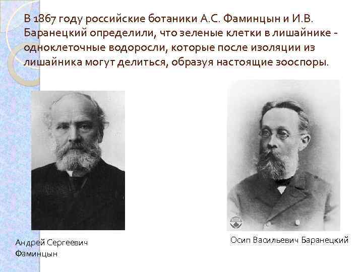 В 1867 году российские ботаники А. С. Фаминцын и И. В. Баранецкий определили, что