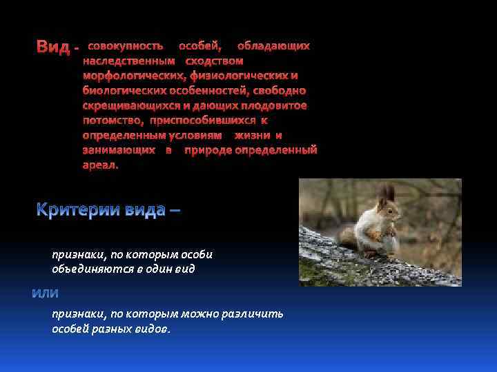 Вид - совокупность особей, обладающих наследственным сходством морфологических, физиологических и биологических особенностей, свободно скрещивающихся