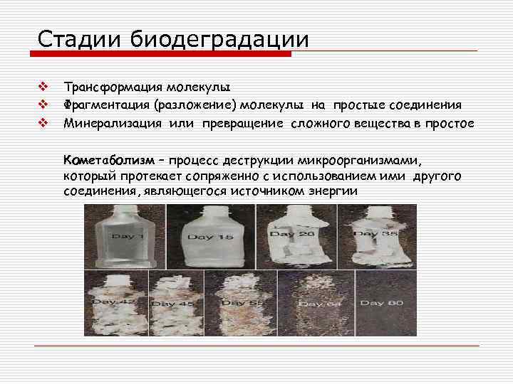 Стадии биодеградации v v v Трансформация молекулы Фрагментация (разложение) молекулы на простые соединения Минерализация