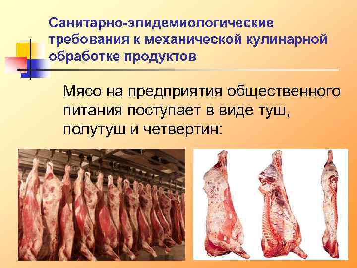 Санитарно-эпидемиологические требования к механической кулинарной обработке продуктов Мясо на предприятия общественного питания поступает в