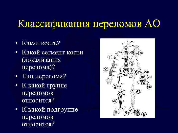 Какой сегмент