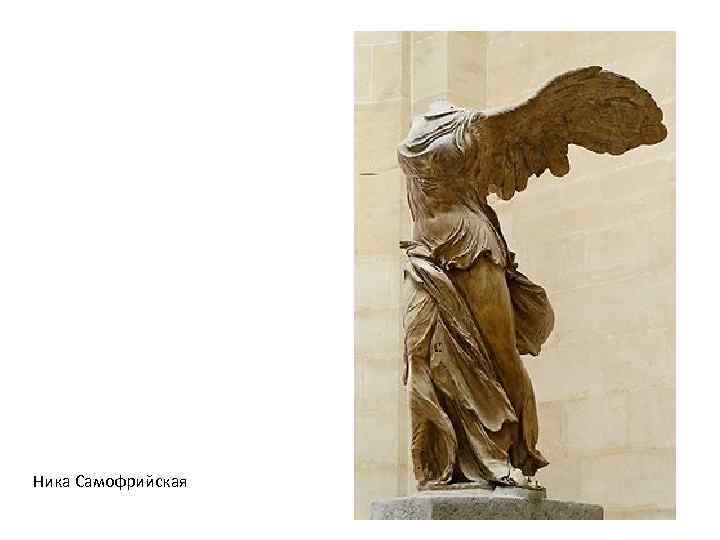 Ника Самофрийская 