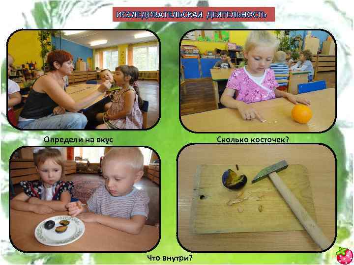 ИССЛЕДОВАТЕЛЬСКАЯ ДЕЯТЕЛЬНОСТЬ Определи на вкус Сколько косточек? Что внутри? 