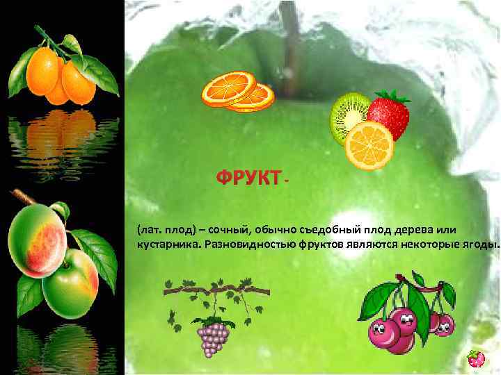 ФРУКТ (лат. плод) – сочный, обычно съедобный плод дерева или кустарника. Разновидностью фруктов являются