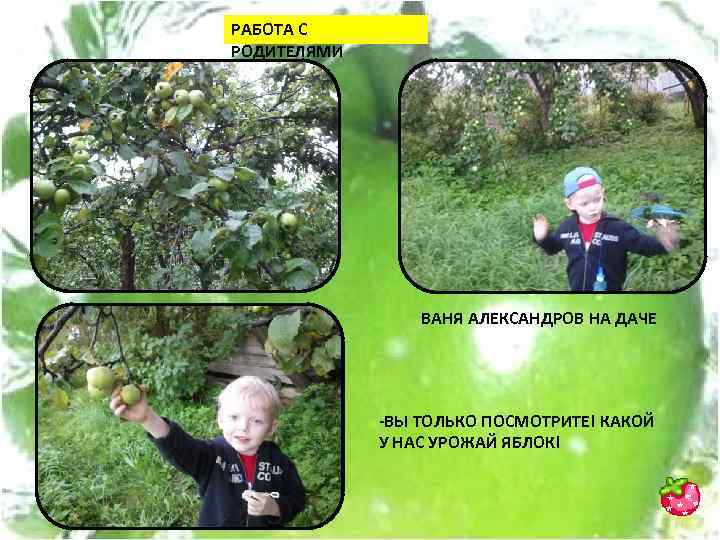 РАБОТА С РОДИТЕЛЯМИ ВАНЯ АЛЕКСАНДРОВ НА ДАЧЕ -ВЫ ТОЛЬКО ПОСМОТРИТЕ! КАКОЙ У НАС УРОЖАЙ