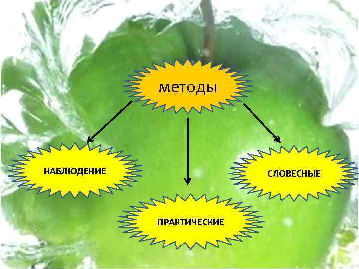 методы НАБЛЮДЕНИЕ СЛОВЕСНЫЕ ПРАКТИЧЕСКИЕ 
