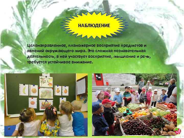 НАБЛЮДЕНИЕ Целенаправленное, планомерное восприятие предметов и явлений окружающего мира. Это сложная познавательная деятельность, в