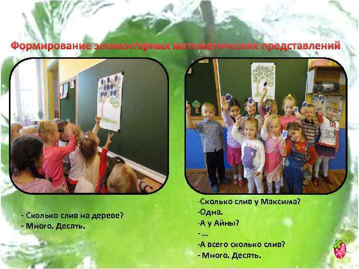 Формирование элементарных математических представлений - Сколько слив на дереве? - Много. Десять. -Сколько слив