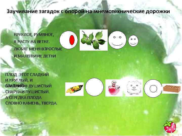Заучивание загадок с опорой на мнемотехнические дорожки КРУКЛОЕ, РУМЯНОЕ, Я РАСТУ НА ВЕТКЕ. ЛЮБЯТ