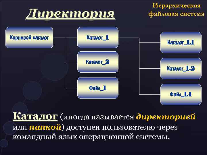 Директория Корневой каталог Каталог_1 Иерархическая файловая система Каталог_1. 1 Каталог_2 Каталог_1. 2 Файл_1. 1