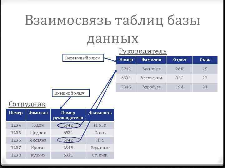 Взаимосвязь таблиц базы данных Первичный ключ Руководитель Фамилия Номер руководителя Должность 1234 Юдин 5742