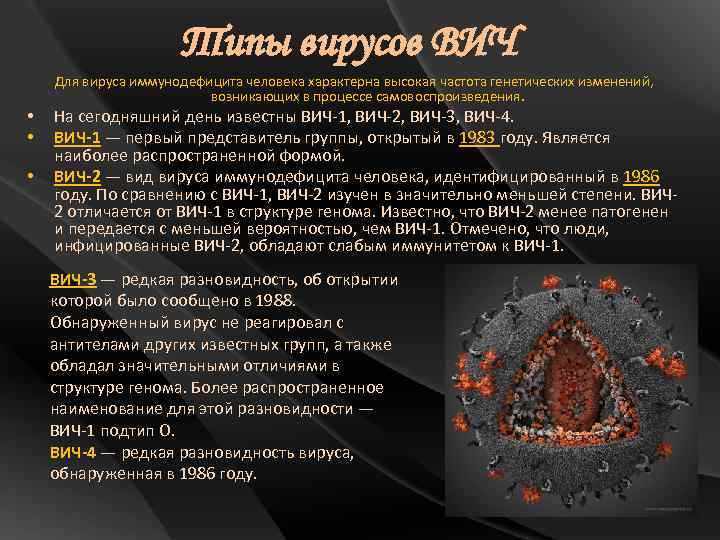 Вич 1 вич 2 р24. Типы вирусов ВИЧ. Форма вируса ВИЧ. Вирус ВИЧ 1. Размер вируса СПИДА.