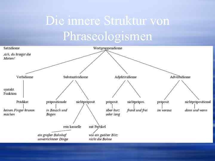 Die innere Struktur von Phraseologismen 