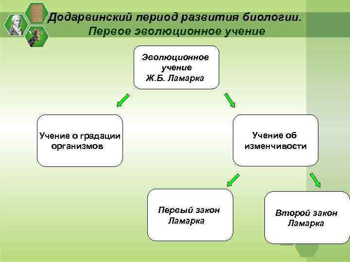 Эволюционное учение вариант 1