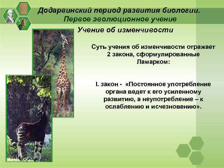 Развитие биологии презентация. Додарвинский период развития биологии. Додарвинский период развития эволюции. ДОДАРВИНОВСКИЕ теории эволюции. Додарвинский период развития биологии таблица.