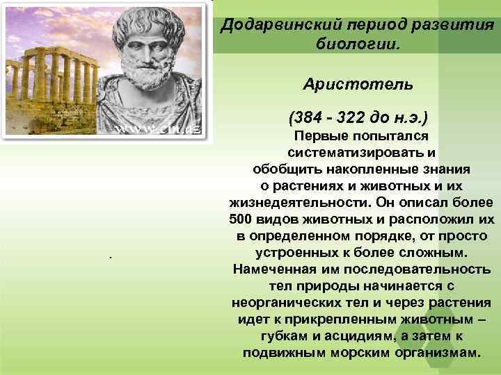 Работавший в период. Додарвинский период развития Аристотель. Додарвиновский период развития эволюционного учения Аристотель. Додарвинский период развития биологии. Додарвинский период развития эволюции.