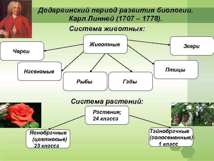 Развитие биологии презентация