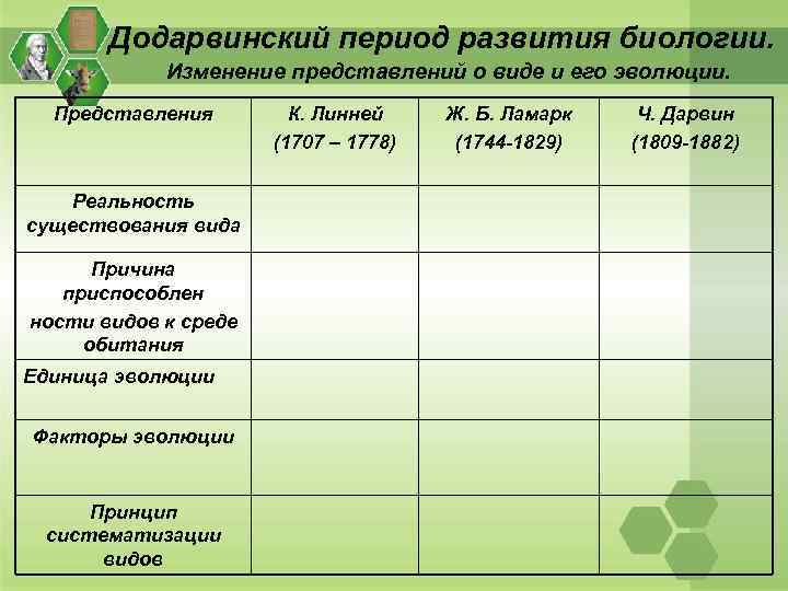 Линней ламарк дарвин презентация