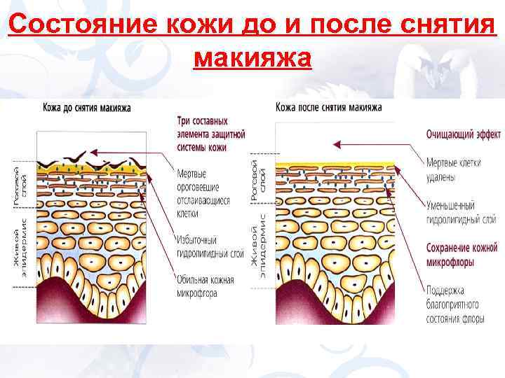Состояние кожи до и после снятия макияжа 