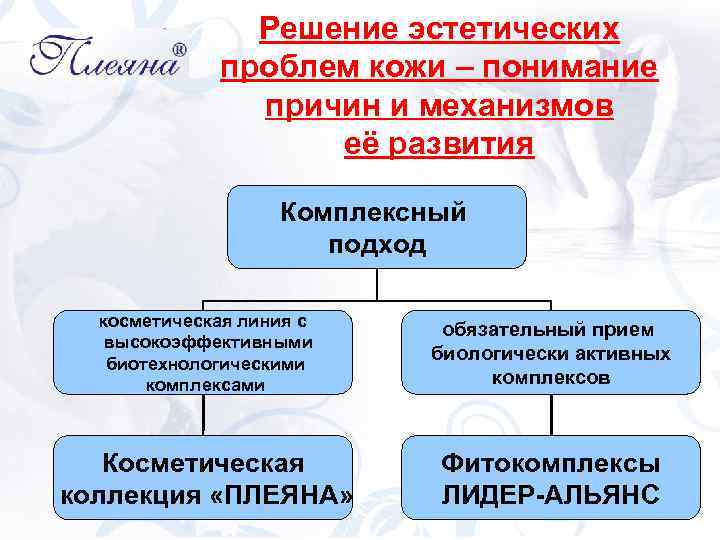 Решение эстетических проблем кожи – понимание причин и механизмов её развития Комплексный подход косметическая
