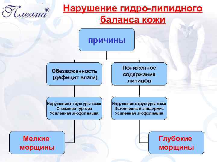 Обменник в солярисе