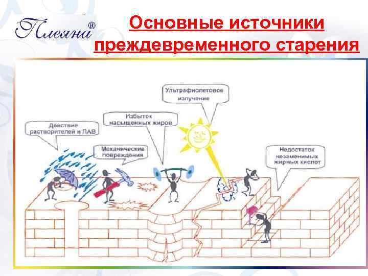 Основные источники преждевременного старения 