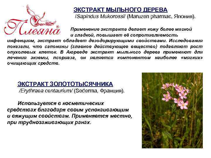 ЭКСТРАКТ МЫЛЬНОГО ДЕРЕВА /Sapindus Mukorossi/ (Maruzen pharmac, Япония). Применение экстракта делает кожу более мягкой