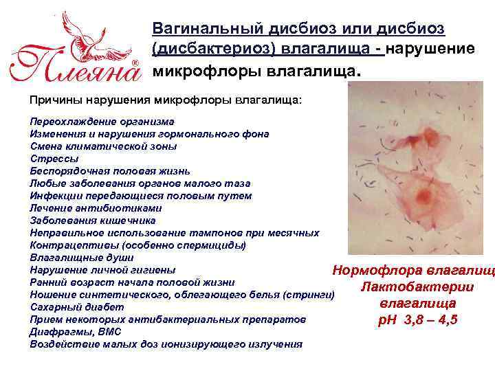 Вагинальный дисбиоз или дисбиоз (дисбактериоз) влагалища - нарушение микрофлоры влагалища. Причины нарушения микрофлоры влагалища: