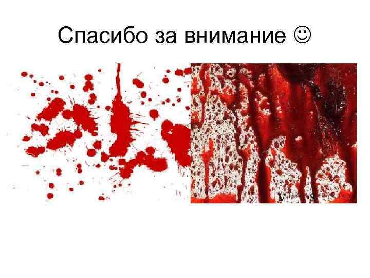 Спасибо за внимание 