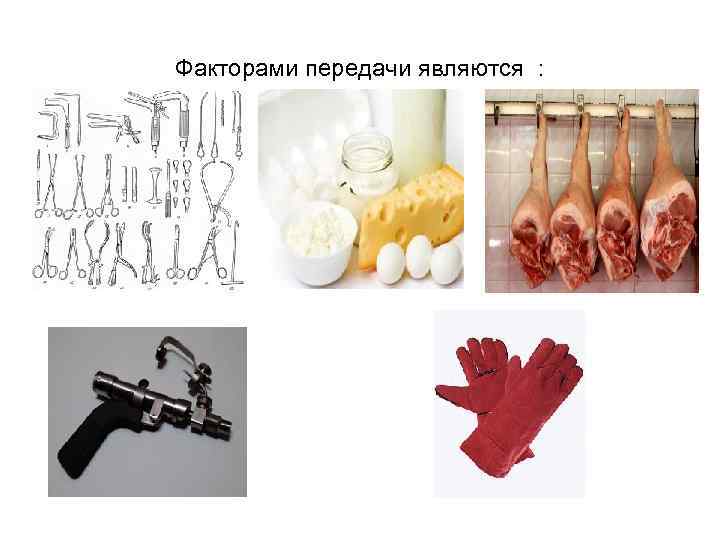 Факторами передачи являются : 