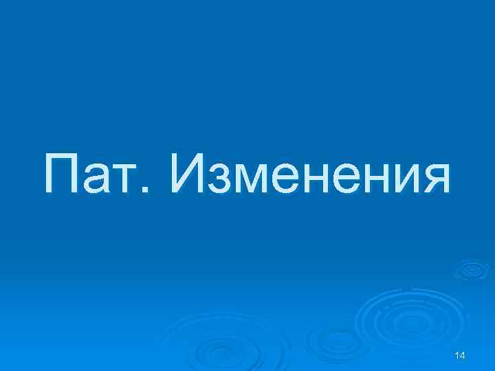 Пат. Изменения 14 