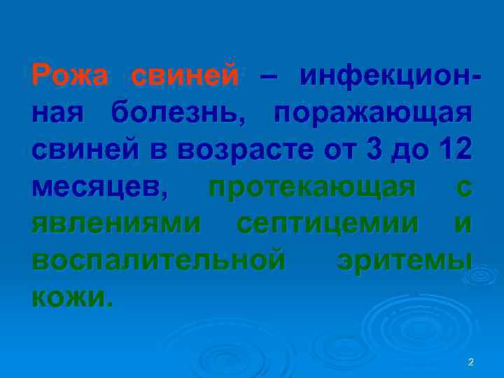 Рожа свиней – инфекционная болезнь, поражающая свиней в возрасте от 3 до 12 месяцев,