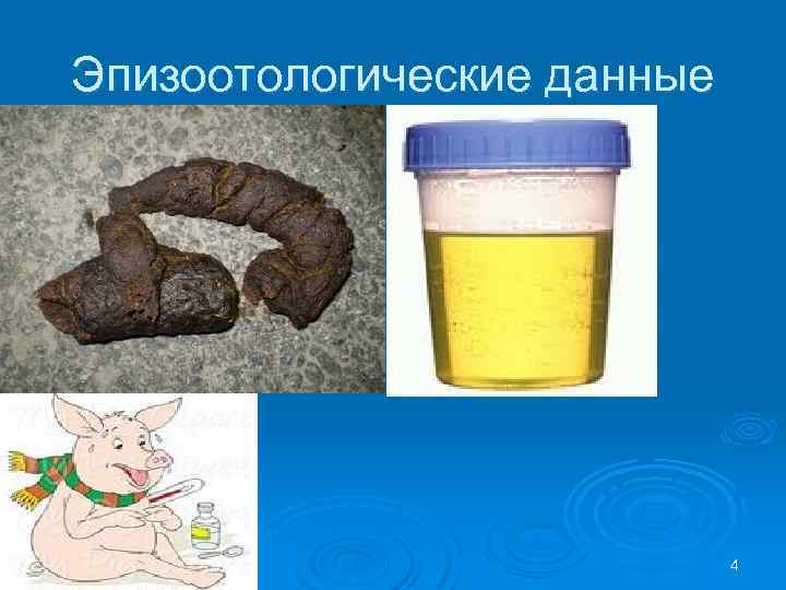 Эпизоотологические данные 4 