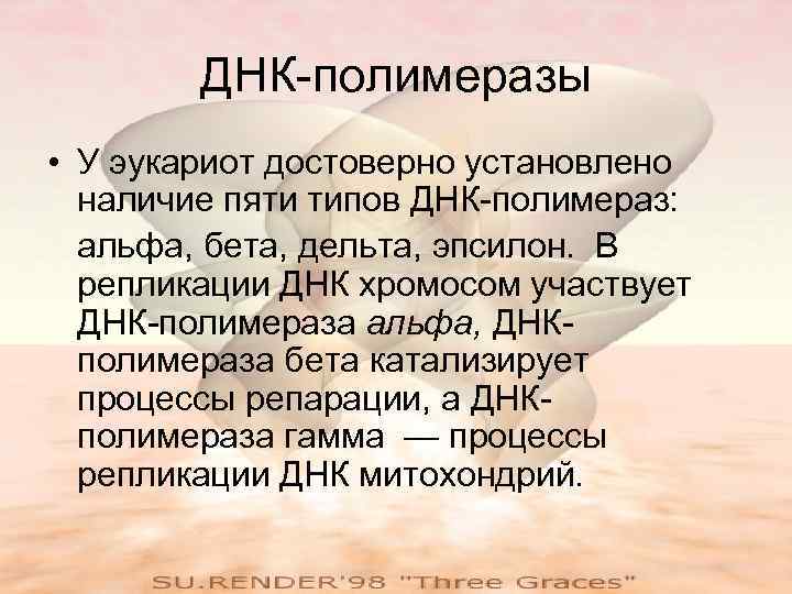 ДНК-полимеразы • У эукариот достоверно установлено наличие пяти типов ДНК-полимераз: альфа, бета, дельта, эпсилон.