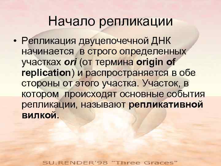 Начало репликации • Репликация двуцепочечной ДНК начинается в строго определенных участках ori (от термина